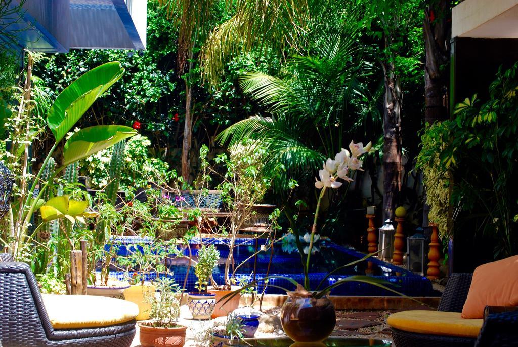 Dar Diafa Bed & Breakfast Casablanca Eksteriør bilde