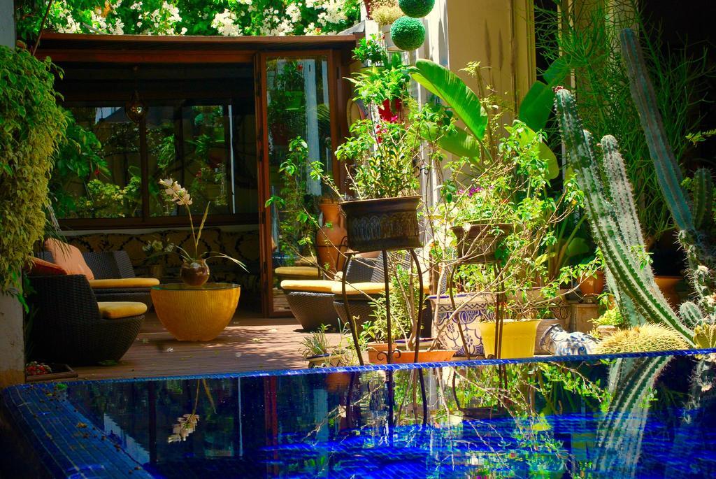 Dar Diafa Bed & Breakfast Casablanca Eksteriør bilde